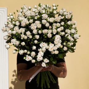 Букет из 27 кустовых роз (80 см) в Пущино