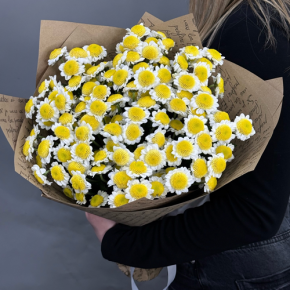 Букет "Моё солнышко" из 11 хризантем сантини  в Пущино