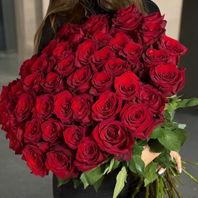Букет 51 роза Эквадор Эксплорер (70 см) в Пущино