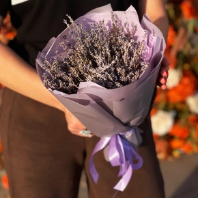 Букет лаванды (сухоцвет) в Пущино
