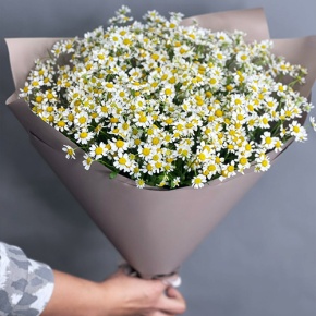 Букет из 17 ромашек танацетум в Пущино