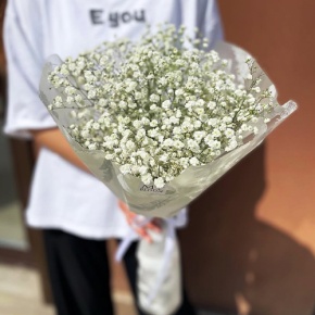 Букет из 5 белых гипсофил в Пущино
