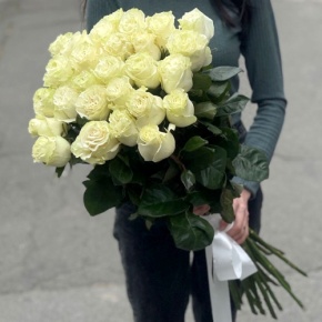 Монобукет из 25 роз Эквадор Мондиаль (80 см) в Пущино