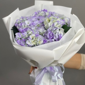 Букет из 5 фиолетовых гортензий в Пущино