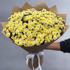 Букет "Моё солнышко" из 31 хризантемы сантини  в Пущино