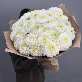 Букет из 27 хризантем Магнум в Пущино
