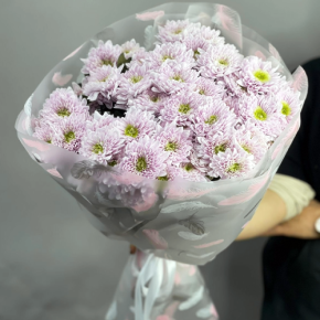 Букет "Нежный комплимент" из 9 кустовых хризантем в Пущино