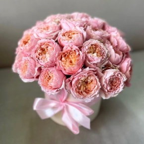 Композиция в шляпной коробке из кустовой пионовидной розы Джульетта в Пущино