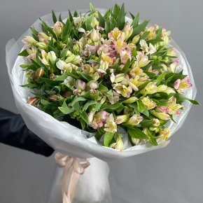 Букет "Зарина" из 37 альстромерий микс в Пущино