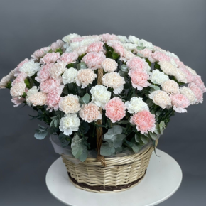 Композиция в корзине из 101 диантуса микс в Пущино