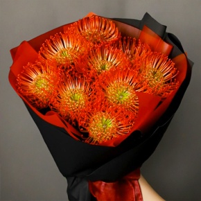 Букет из 9 лейко в Пущино