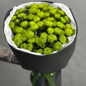 Стильный букет "Лайм" из 15 хризантем сантини в Пущино