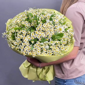 Букет из альстромерий и ромашек в Пущино