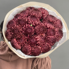 Букет 21 шоколадной хризантемы Бигоуди в Пущино