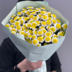 Букет "Моё солнышко" из 17 хризантем сантини  в Пущино