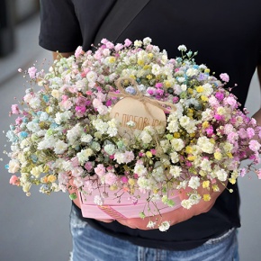 Композиция в коробке сердца из радужных гипсофил с топпером в Пущино