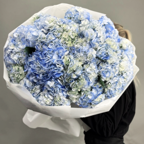Букет из 23 синих гортензий в Пущино