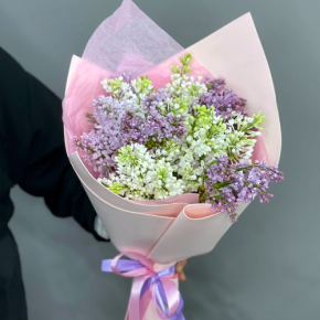 Букет из 11 веток сирени микс в Пущино
