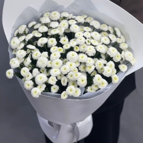 Букет "Белая дымка" из 25 хризантем сантини в Пущино