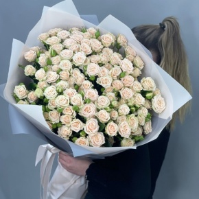 Букет из 25 кремовых кустовых роз (70 см) в Пущино
