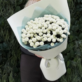 Букет из 25 хризантем Ньютон в Пущино