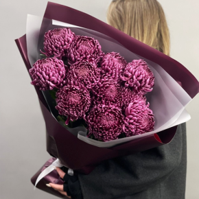 Букет "Изобилие" из 11 винных хризантем Бигоуди в Пущино