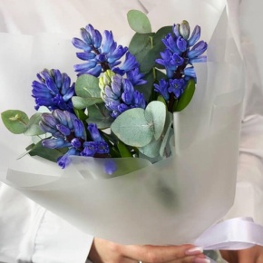 Букет "Мини" из 5 ароматных гиацинтов и эвкалипта в Пущино
