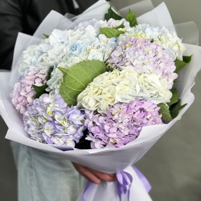 Букет из 9 Голландских гортензий микс в Пущино