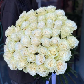 Букет из 51 розы Эквадор Мондиаль под ленту (80 см) в Пущино