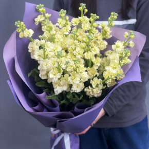 Букет из 15 лимонных маттиол в Пущино