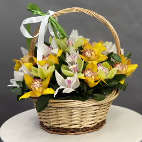 Композиция в корзине из 25 орхидей микс в Пущино