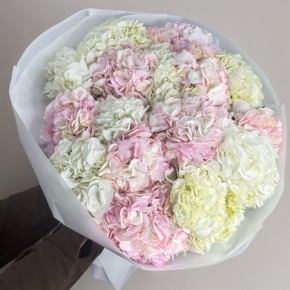 Букет из 17 нежных гортензий в Пущино