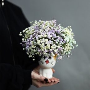 Композиция из гипсофил в керамическом кашпо в Пущино