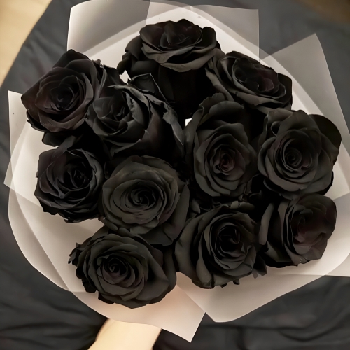 Букет "Черная королева" из 11 черных роз Эквадор (60 см) в Пущино