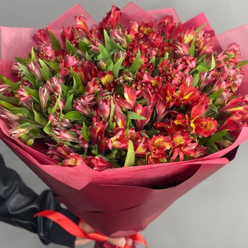 Монобукет из 25 красных альстромерий в Пущино