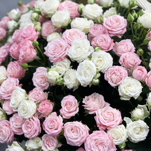 Композиция в корзине из 101 кустовой пионовидной розы в Пущино