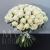 Букет 75 белых роз Эквадор Мондиаль (80 см) в Пущино