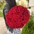 Букет 51 красной розы 50 см в Пущино