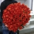 Букет 101 коралловая роза (60 см) в Пущино