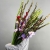 Букет из 25 гладиолусов микс в Пущино