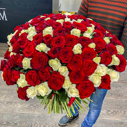 Букет 151 роза красный и белый микс (60 см) в Пущино
