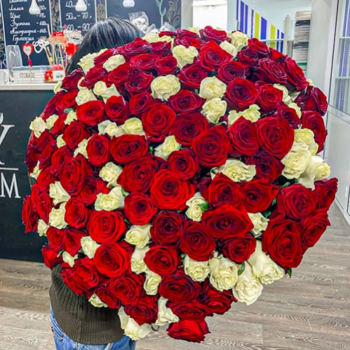 Букет 151 роза красный и белый микс (60 см) в Пущино