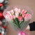 Букет "Фламинго" из 11 пионовидных тюльпанов в Пущино