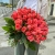 Букет 51 роза коралл (60 см) в Пущино