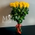 Букет 25 желтых роз эквадор (60 см) в Пущино