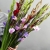Букет из 25 гладиолусов микс в Пущино